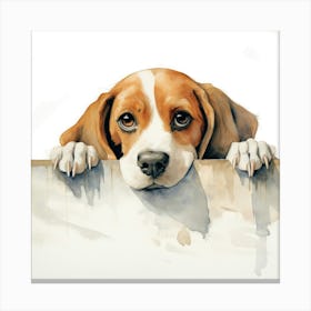 Beagle Dog 4 Canvas Print