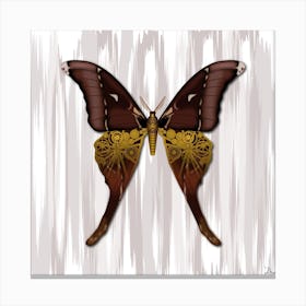 Mechanical Butterfly The Hercules Moth Techno Coscinocera Hercules White Canvas Print