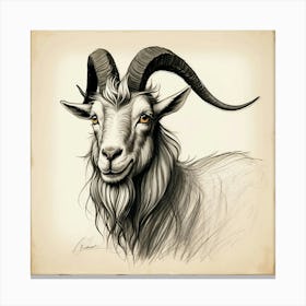 Goat Head 22 Canvas Print