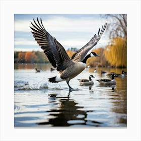 Canadian Geese 35 Canvas Print