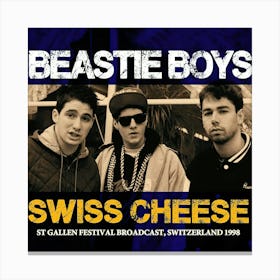 Beastie Boys Albums 2 Canvas Print