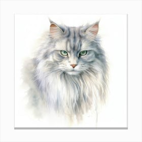 Australian Mist Longhair Cat Portrait 2 Canvas Print