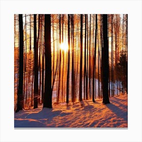 Sunset In The Forest 17 Canvas Print