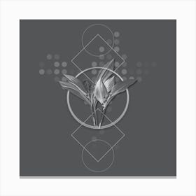 Vintage Lily of the Valley Botanical with Line Motif and Dot Pattern in Ghost Gray n.0364 Canvas Print