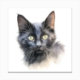 Russian Black Cat Portrait 2 Canvas Print