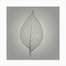 Leaf 1 Canvas Print