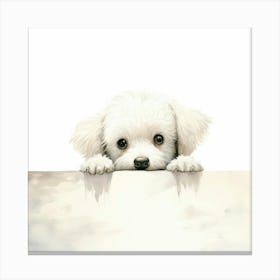 White Dog Peeking Over A Sign Canvas Print