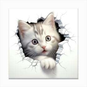 Kitten Peeking Out Of A Hole 1 Canvas Print