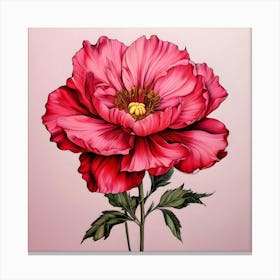 Pink Peony 1 Canvas Print