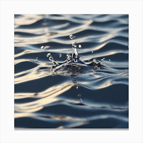 Water Drop 2 Canvas Print