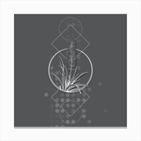 Vintage Snake Plant Botanical with Line Motif and Dot Pattern in Ghost Gray n.0301 Canvas Print