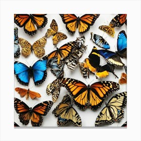 Butterfly Collection Canvas Print
