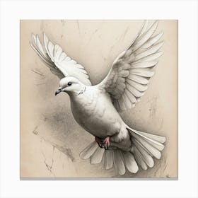 Dove In Flight  ma Canvas Print