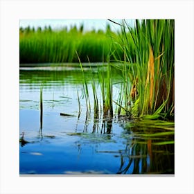 Grass Plant Vegetation Water Reed Calm Cane Season Scene Green Tranquil Background Natur (12) Canvas Print