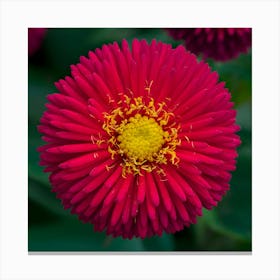 Red Flower Canvas Print