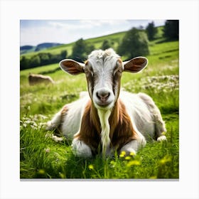 Pasture Rural Farm Goat Nature Farming Natural Countryside Animal Herd Agriculture Meadow (4) Canvas Print