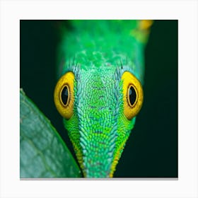 Green Iguana Canvas Print