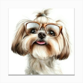 Shih Tzu 15 Canvas Print