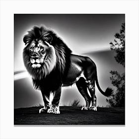 Lion In Black And White 5 Canvas Print