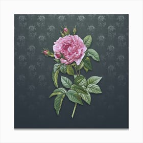 Vintage Pink French Rose Botanical on Slate Gray Pattern n.0040 Canvas Print