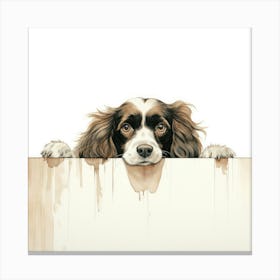 Spaniel Clumber 3 Canvas Print