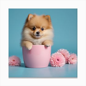 Pomeranian Puppy In A Flower Pot Canvas Print