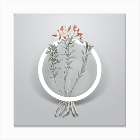 Vintage Lily of the Incas Minimalist Floral Geometric Circle on Soft Gray n.0166 Canvas Print