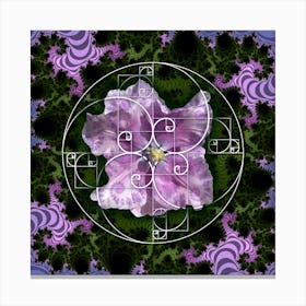 Sacred Geometry Fibonacci Spiral Flowers 4 Stampe su tela