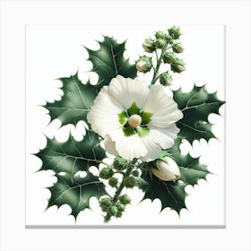 Flower of Holly-hox Canvas Print