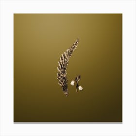 Gold Botanical Bell Bearing Heath Flower Branch on Dune Yellow n.4492 Canvas Print