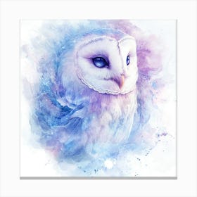 Barn Owl 1 Canvas Print