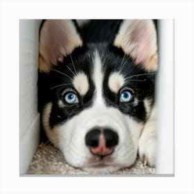 Husky Puppy Canvas Print