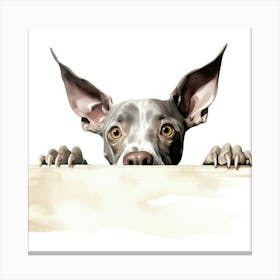 Doberman Pinscher Canvas Print