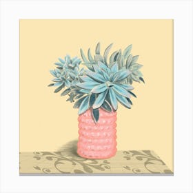 Retro Vase with succulents Canvas Print