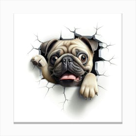 Pug Peeking Through A Hole Canvas Print