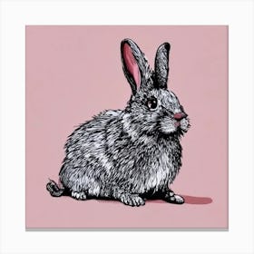 Rabbit On A Pink Background Canvas Print