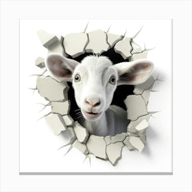 Goat Through A Hole 1 Canvas Print