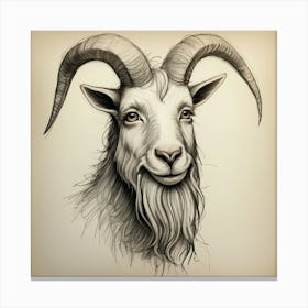 Goat Head 24 Canvas Print