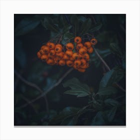Fruits Of Autumn 7 Square Canvas Print