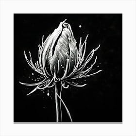 Black And White Flower 1 Canvas Print