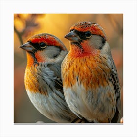 Two Birds Sitting On A Branch 1 Canvas Print