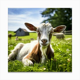 Pasture Rural Farm Goat Nature Farming Natural Countryside Animal Herd Agriculture Meadow (7) Canvas Print