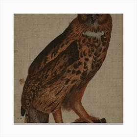 Eagle Owl Canvas Print