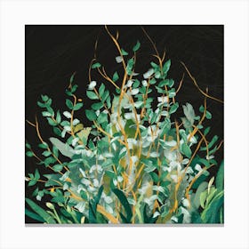 Eucalyptus 1 Canvas Print