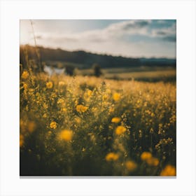 Sunflowers In The Field 8 Canvas Print