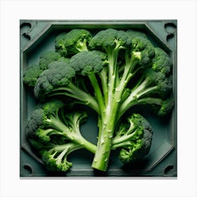 Broccoli In A Box 2 Canvas Print
