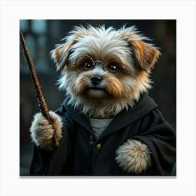 Parry Potter Canvas Print