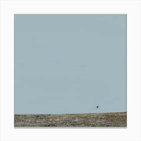 Bird In The Sky Canvas Print