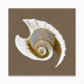 Psychedelic Sea Shell Canvas Print
