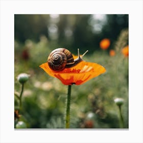 Snail On A Flower 2 Canvas Print